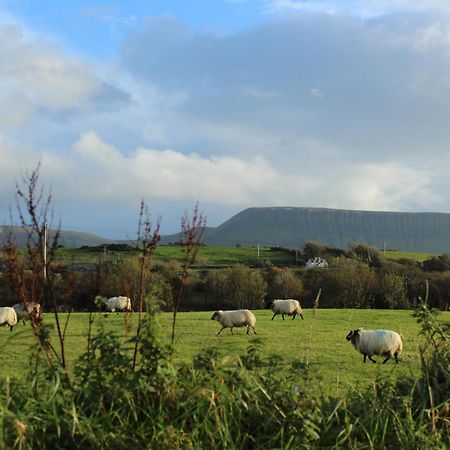 Armada Lodge Seashore Holiday Apartment Sligo Grange  Экстерьер фото