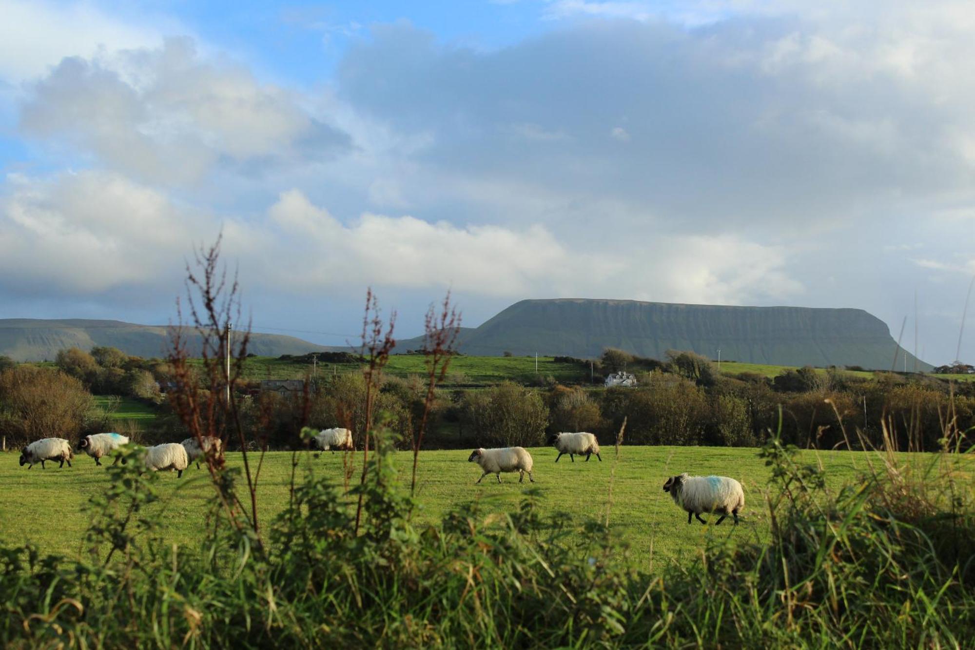Armada Lodge Seashore Holiday Apartment Sligo Grange  Экстерьер фото