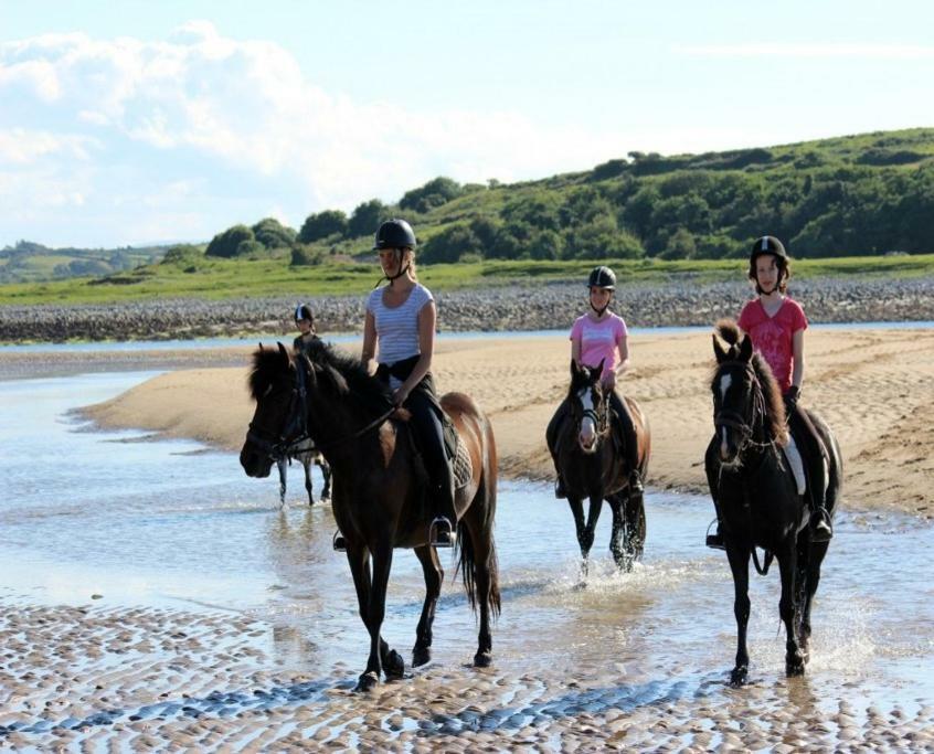 Armada Lodge Seashore Holiday Apartment Sligo Grange  Экстерьер фото