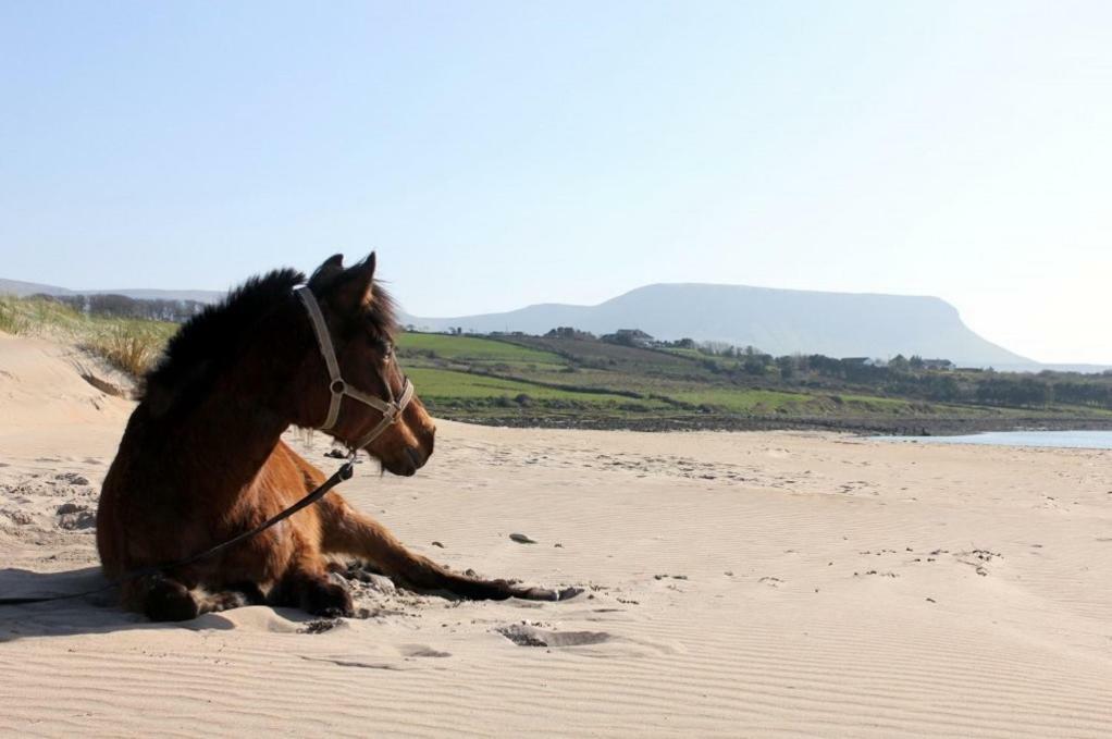 Armada Lodge Seashore Holiday Apartment Sligo Grange  Экстерьер фото